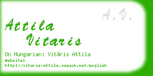 attila vitaris business card