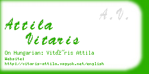 attila vitaris business card